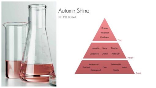 Autumn Shine - BottleX Scent Pyramid