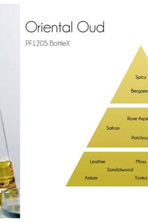 Oriental Oud - BottleX Scent Pyramid